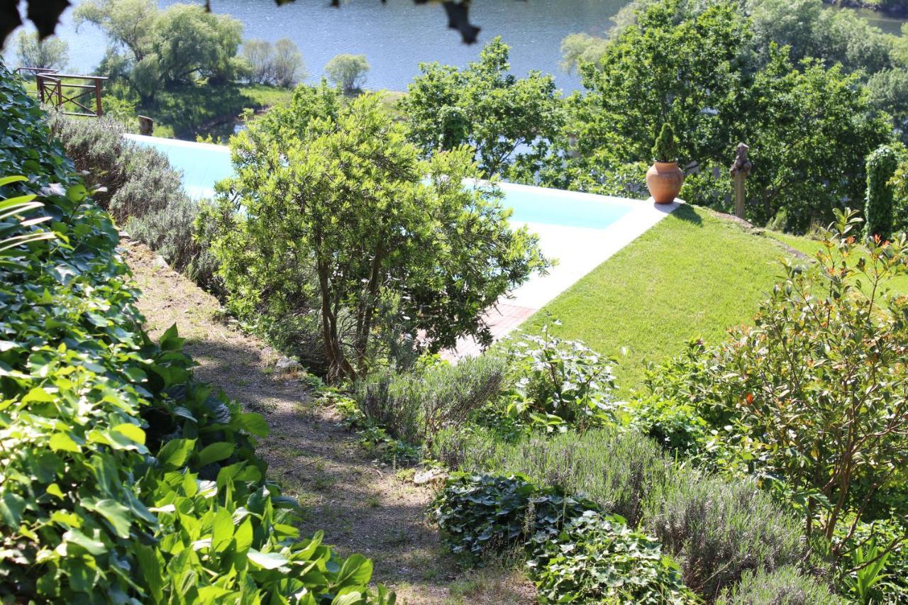 Villa Casa antiga de pedra com piscina e vista rio Amarante Esterno foto